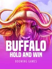 Buffalo